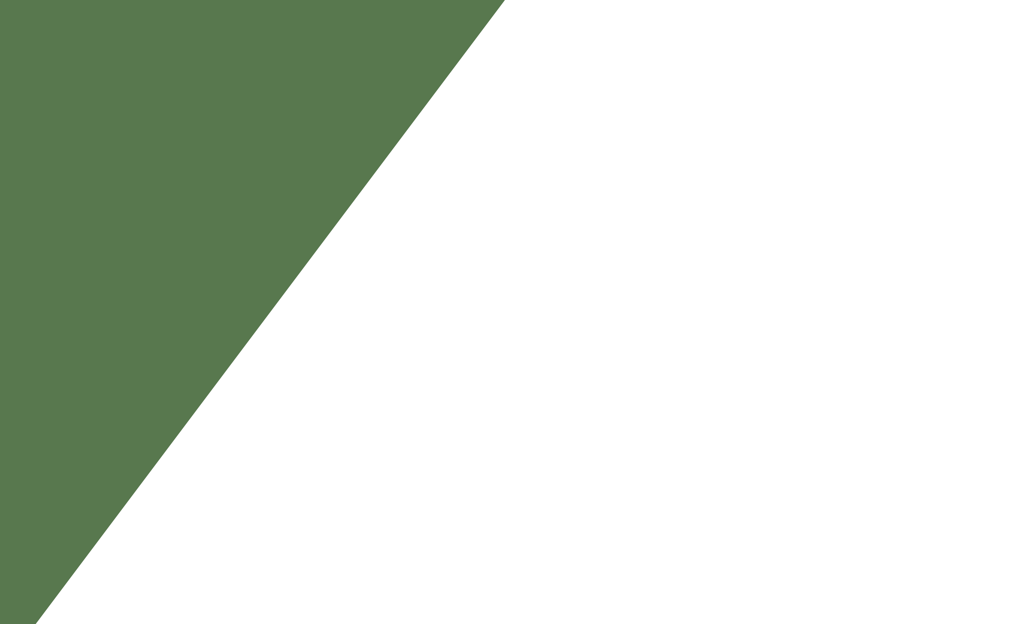 A green banner over the hero slider